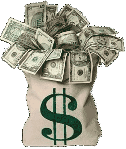 money bag